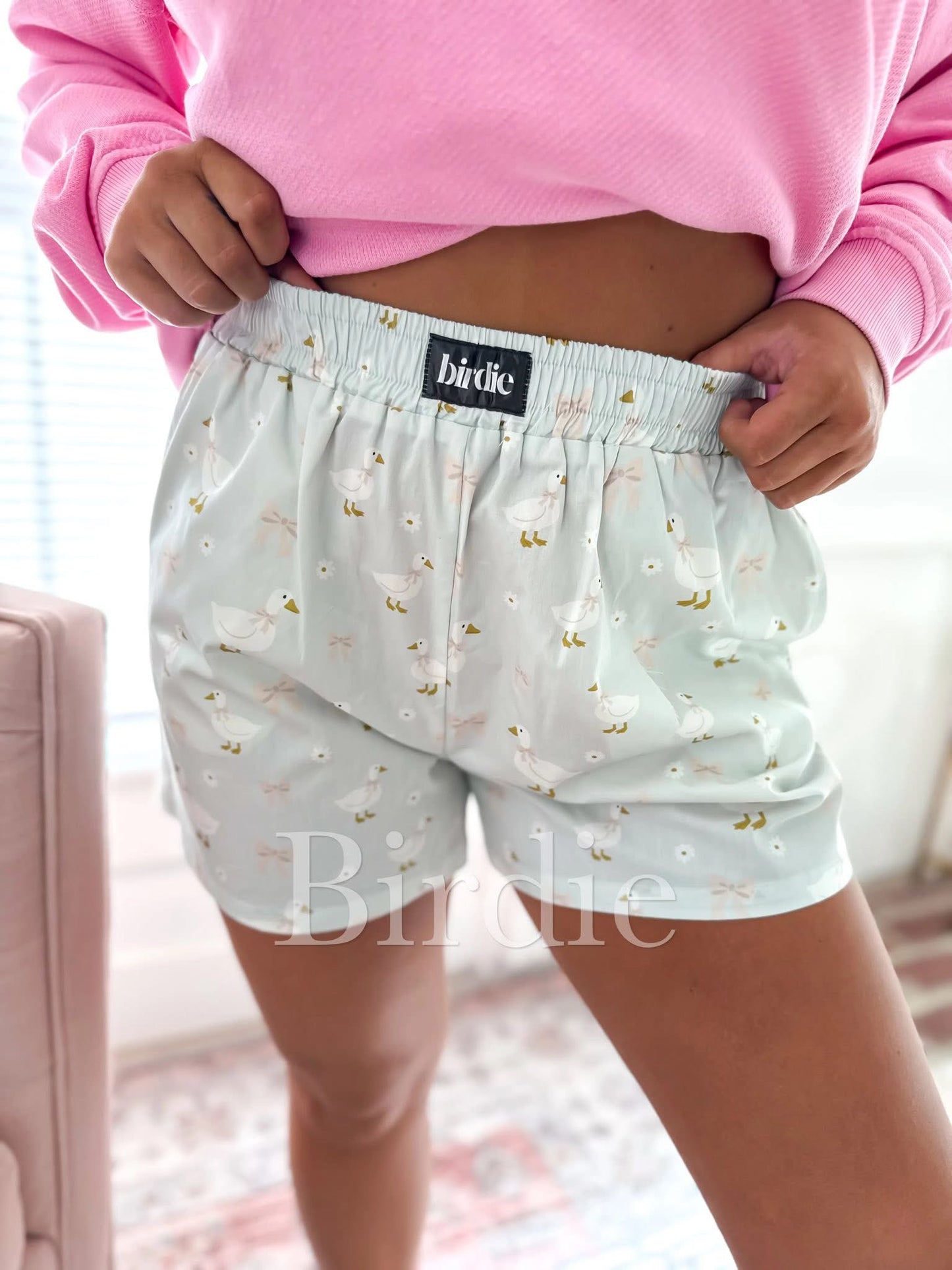 Birdie goose on the loose boxer shorts
